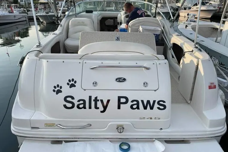 Slide: The Image of 2001 Sea Ray 245 Weekender boat named "Salty Paws" docked at marina. - 6