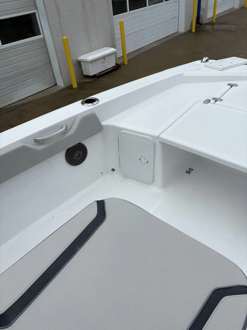 Slide: The Image of Scarab 235CC 2024 - 5