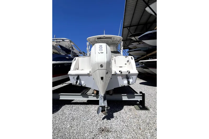 Slide: The Image of 2024 Sailfish 245 DC boat with powerful V8 engine, displayed in a marina. - 5