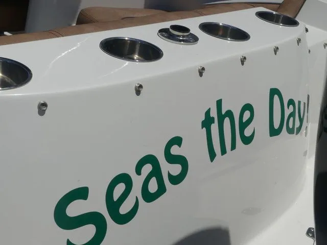 Slide: The Image of Stingray 201 DS 2020 with 'Seas the Day' lettering. - 34