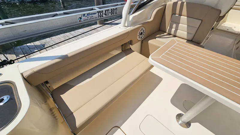 Slide: The Image of Scout 255 DORADO 2024 - 21