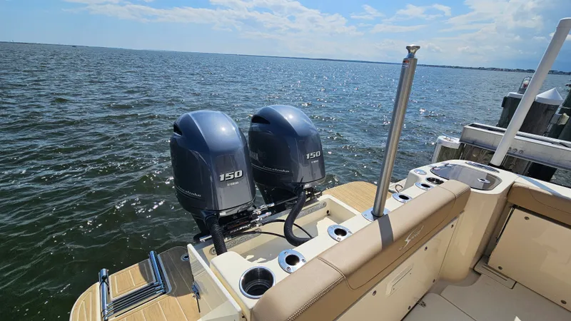 Slide: The Image of Scout 255 DORADO 2024 - 16