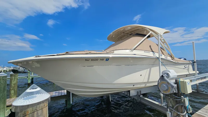 The Image of Scout 255 DORADO 2024 - 0