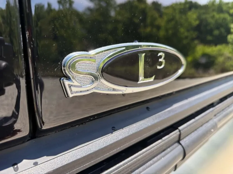 Slide: The Image of Sylvan L-3 DLZ Platnium 2026 emblem on glossy surface. - 14