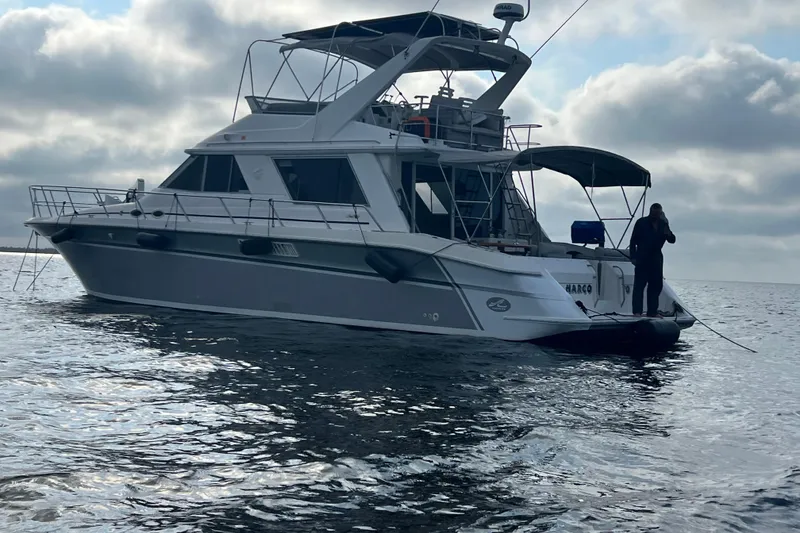 The Image of 1995 Sea Ray 550 Sedan Bridge yacht on calm water under cloudy sky. - 0