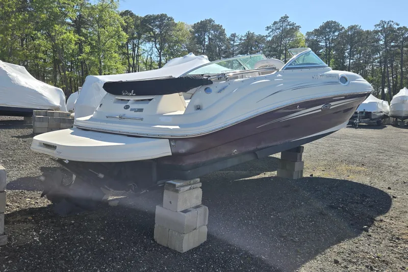 Slide: The Image of 2009 Sea Ray 240 Sundeck boat on blocks, surrounded by trees and other covered boats. - 3