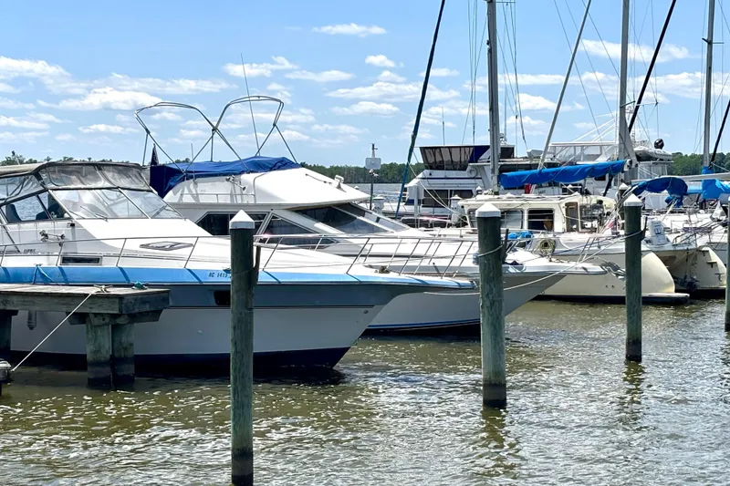Slide: The Image of 1988 Sea Ray 305 Sedan Bridge docked among other boats on a sunny day. - 5