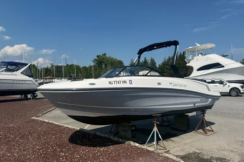 The Image of 2019 Bayliner VR5 Bowrider OB on stands in a marina setting. - 1