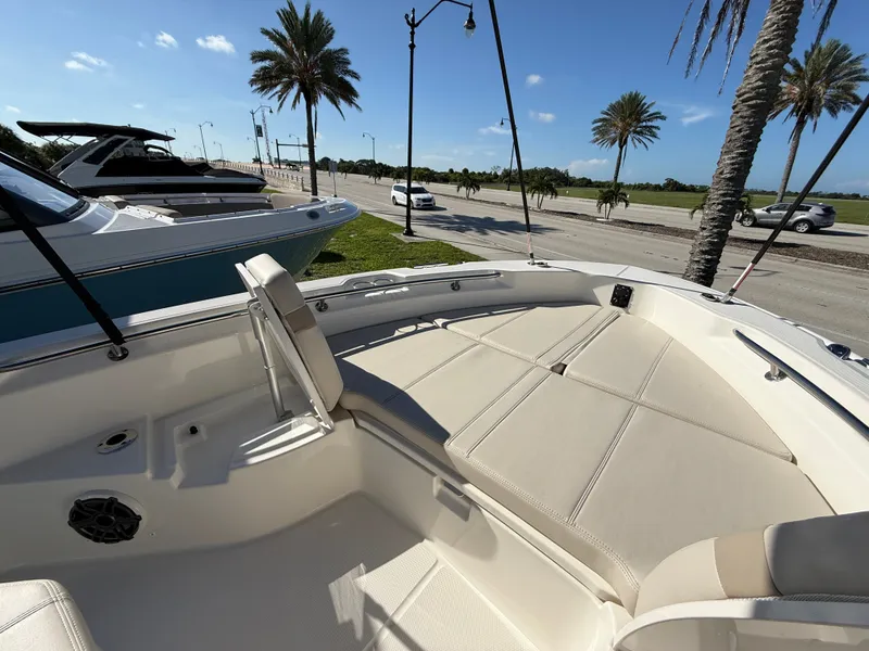 Slide: The Image of Boston Whaler 250 Dauntless 2027 - 10
