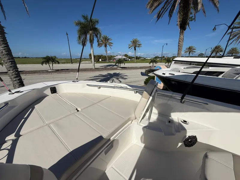 Slide: The Image of Boston Whaler 250 Dauntless 2027 - 11