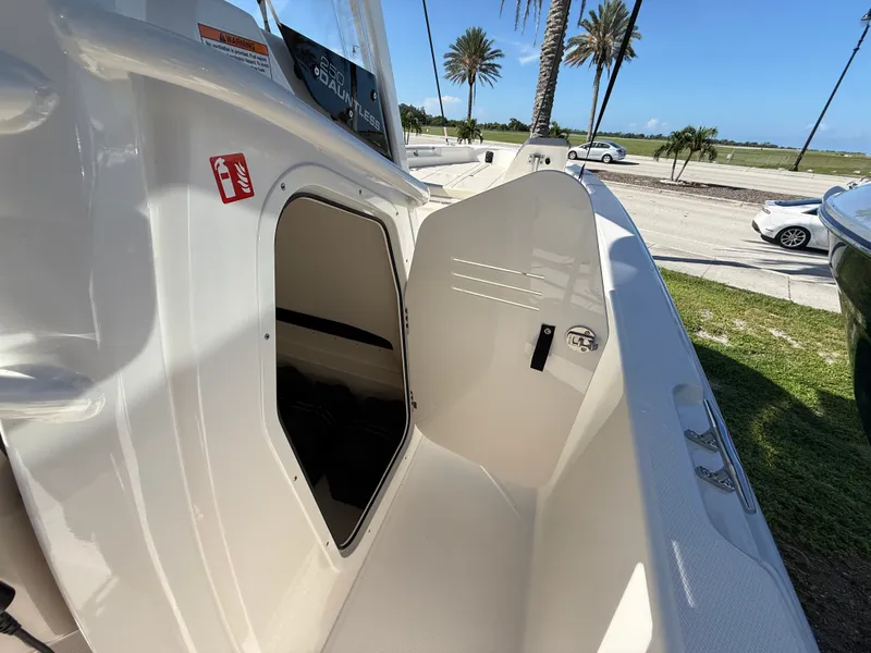 Slide: The Image of Boston Whaler 250 Dauntless 2027 - 19
