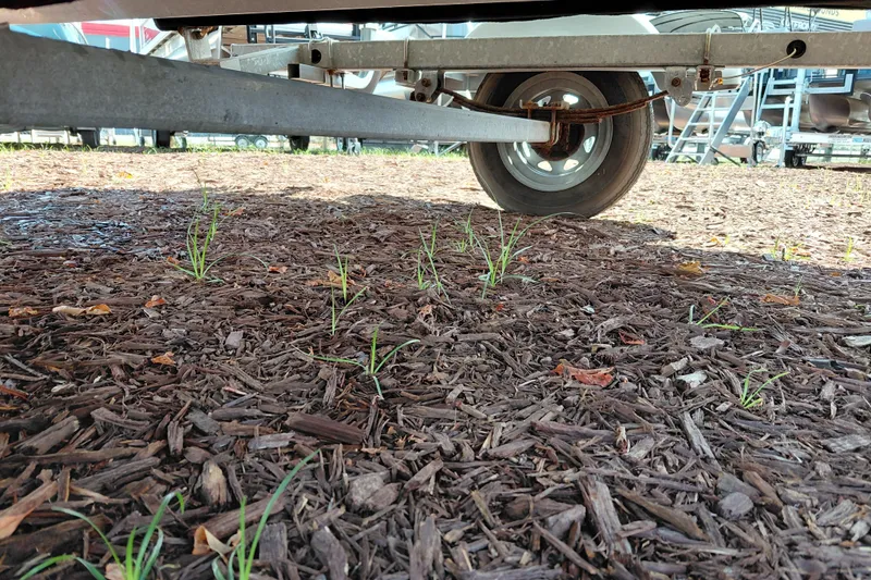Slide: The Image of Trailer wheel of 2021 Bayliner 160 Bowrider on mulch-covered ground. - 31