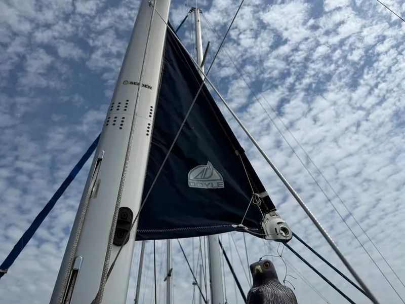 Slide: The Image of Marlow-Hunter 33 2014 - 71