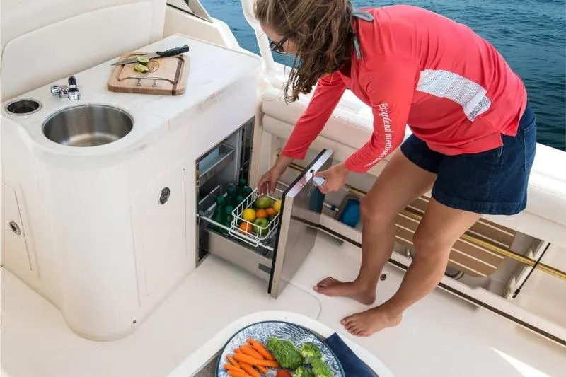 Slide: The Image of Woman accessing mini-fridge on 2027 Grady-White Freedom 307 boat, with fresh produce and sink nearby. - 7