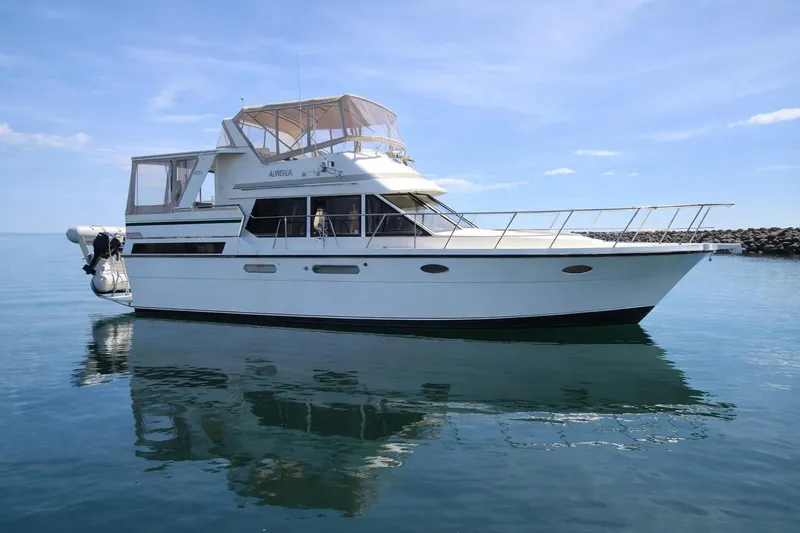 The Image of TransWorld 39 Sundeck Aft Cabin Motor Yacht 1989 - undefined