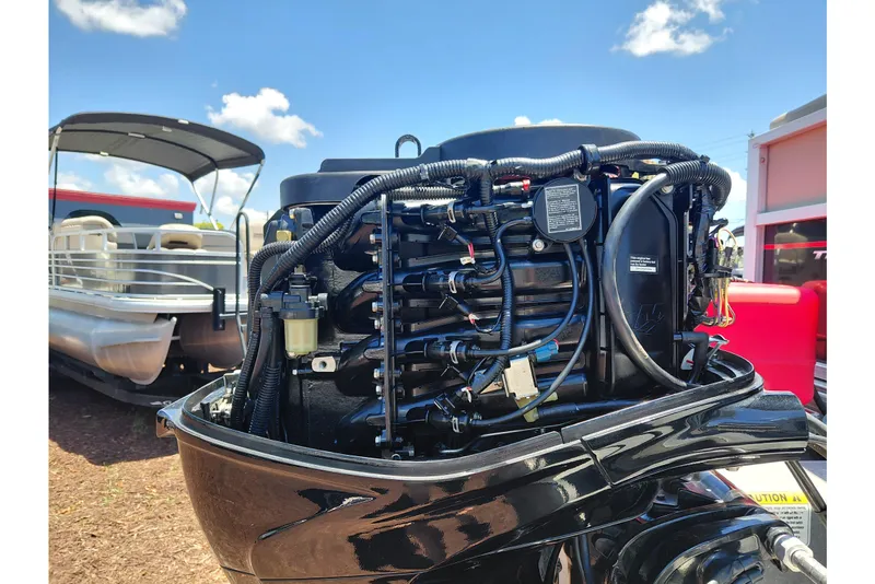 Slide: The Image of 2019 Sun Tracker Bass Buggy 16 DLX outboard motor, detailed view under clear sky. - 35
