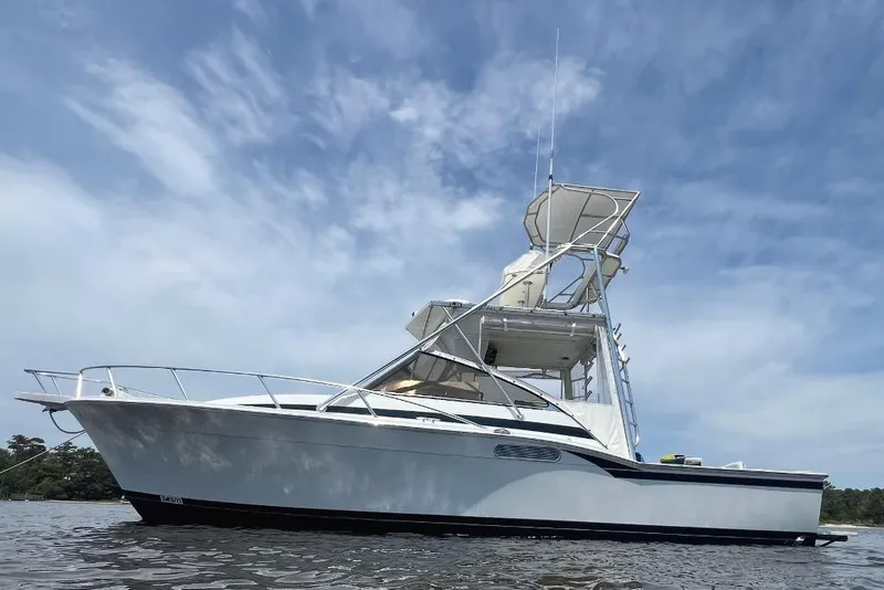 The Image of 1993 Blackfin 31 Combi boat on water under a clear blue sky. - 0