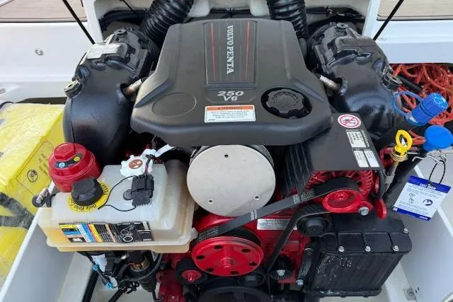 Slide: The Image of 2022 Cobalt CS22 boat engine, Volvo Penta 250 V8, detailed view. - 38