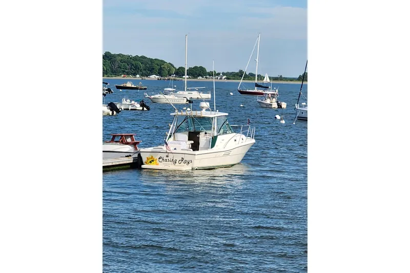 Slide: The Image of 2002 Pursuit 3000 Express boat named "Chasing Rays" docked in a scenic harbor. - 9