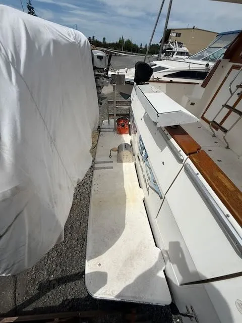 Slide: The Image of Bayliner 3888 Motoryacht 1990 - 50