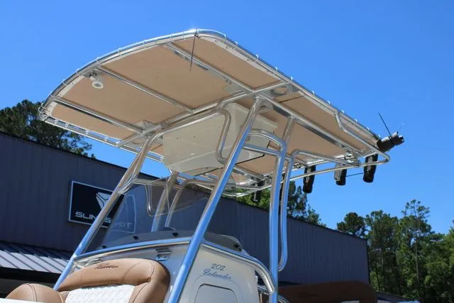 Slide: The Image of Pioneer 202 Islander 2026 - 10