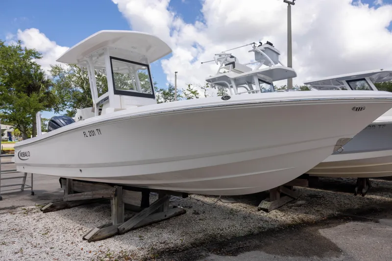 The Image of 2025 Robalo 246 Cayman boat displayed outdoors on a sunny day. - 0