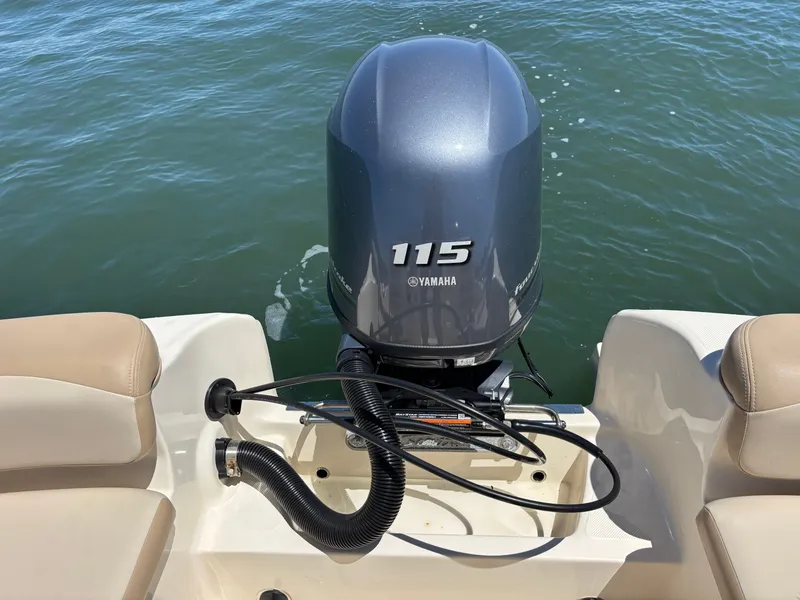 Slide: The Image of Scout 175 Sport Dorado 2023 - 23