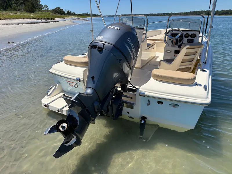 Slide: The Image of Scout 175 Sport Dorado 2023 - 48