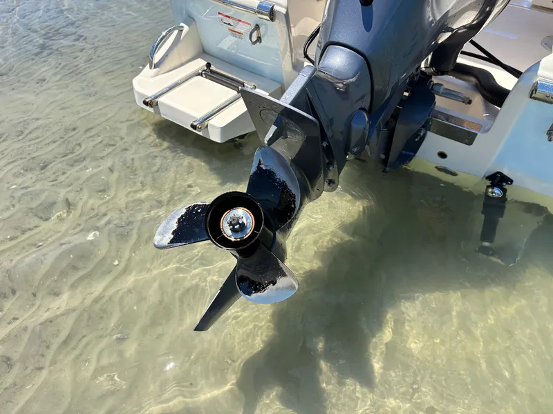 Slide: The Image of Scout 175 Sport Dorado 2023 - 49
