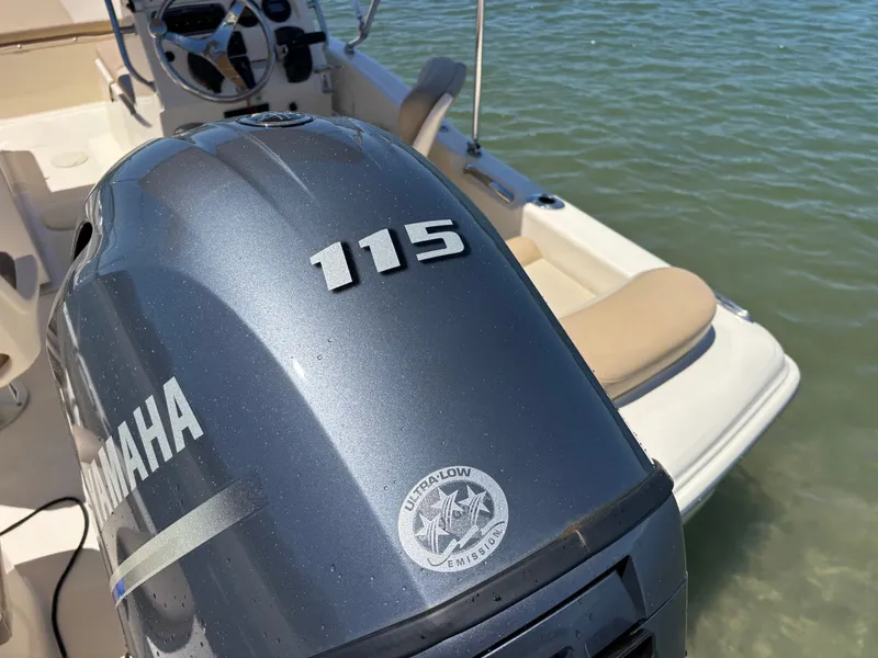 Slide: The Image of Scout 175 Sport Dorado 2023 - 51