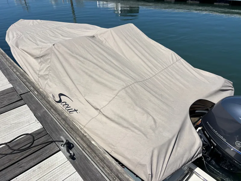 Slide: The Image of Scout 175 Sport Dorado 2023 - 53