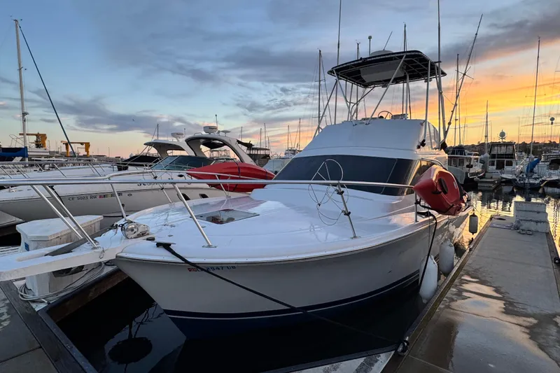 Slide: The Image of 1998 Luhrs Tournament 320 Convertible yacht docked at sunset in a marina. - 1