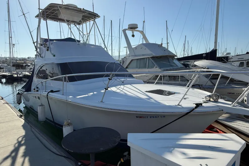 Slide: The Image of 1998 Luhrs Tournament 320 Convertible boat docked at a marina, sunny day. - 2