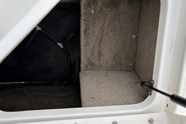 Slide: The Image of Storage compartment of a 2017 Searay SPX210 boat, featuring carpeted interior and hydraulic support. - 50