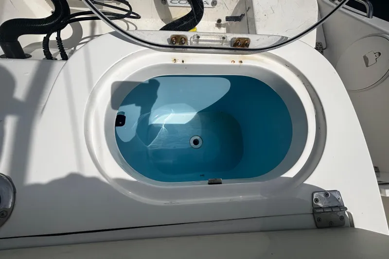 Slide: The Image of Livewell on 2023 Cobia 262 Center Console boat, featuring a blue interior. - 10