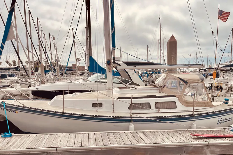 The Image of 1982 Newport 28 sailboat docked at a marina, surrounded by other boats and masts. - 0