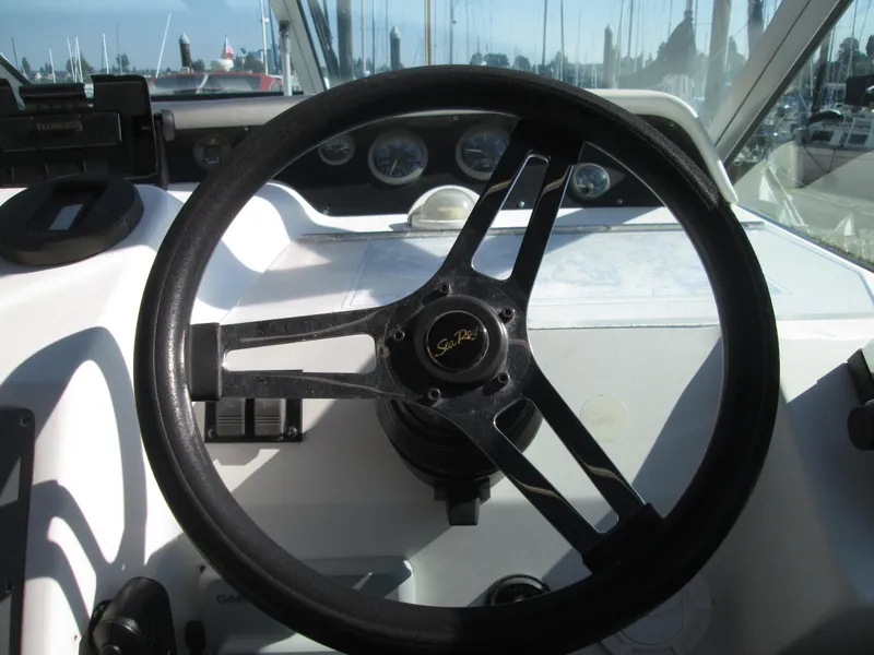 Slide: The Image of Helm of the 1996 Sea Ray 290 Sundancer. - 8