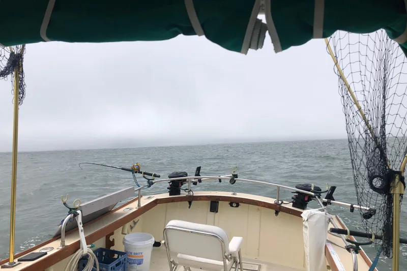 Slide: The Image of 1974 Dyer 29' Sport Fisher boat with fishing gear on a cloudy day at sea. - 12