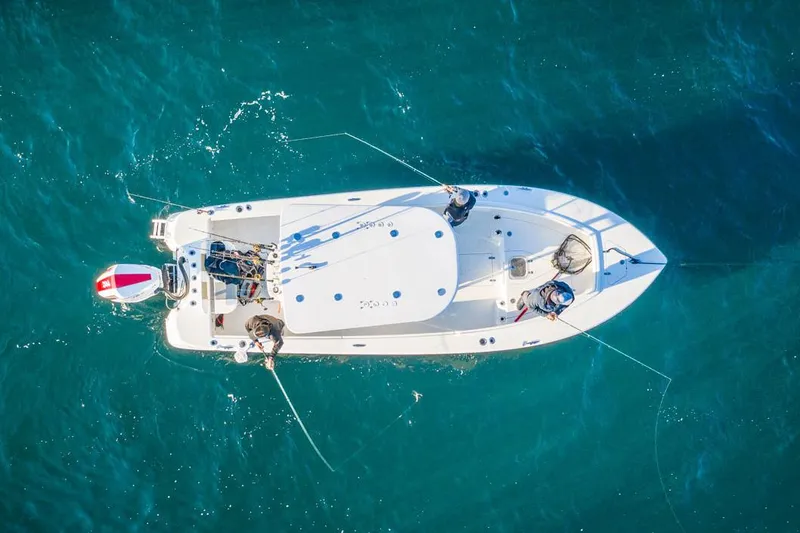 Slide: The Image of Manufacturer Provided Image: Aerial view of 2026 BlackJack 256 Coastal boat on clear blue water. - 15