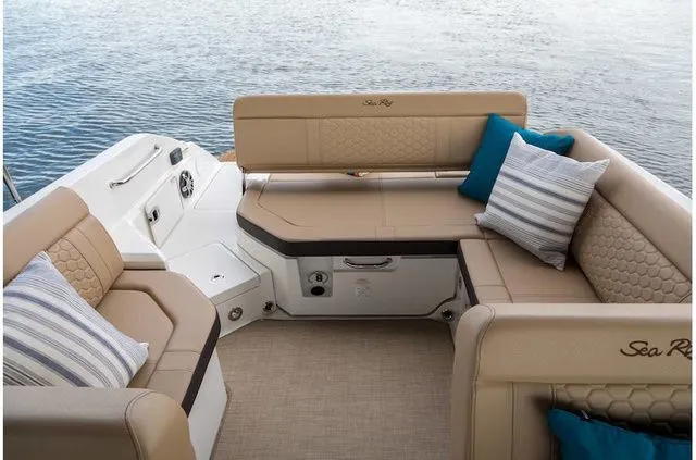 Slide: The Image of Sea Ray SDX 250 2019 - 15