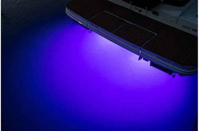 Slide: The Image of Sea Ray SDX 250 2019 - 24