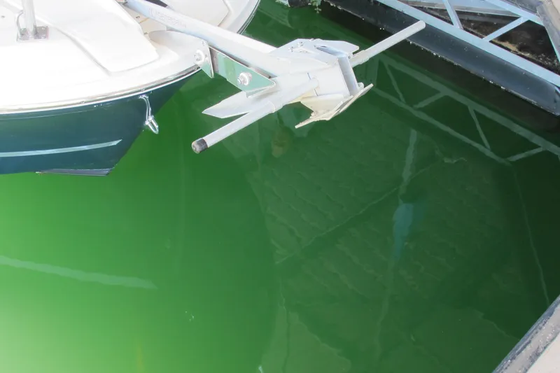 Slide: The Image of Jeanneau NC 795 boat bow and anchor over green water, 2020 model. - 4
