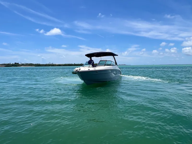 Slide: The Image of Sea Ray SLX 280 Outboard 2026 - 6