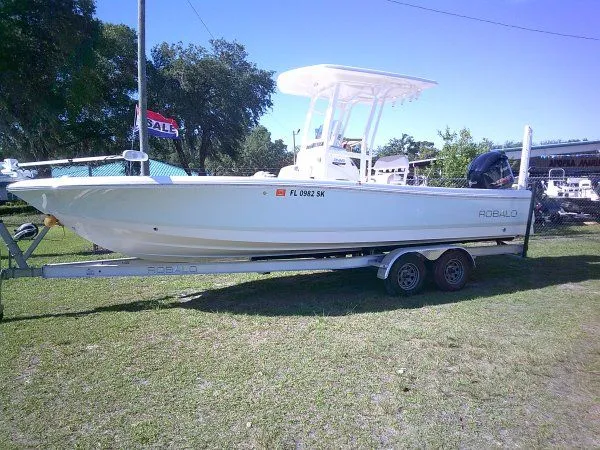 The Image of 2017 Robalo 246 Cayman boat on trailer outdoors. - 1