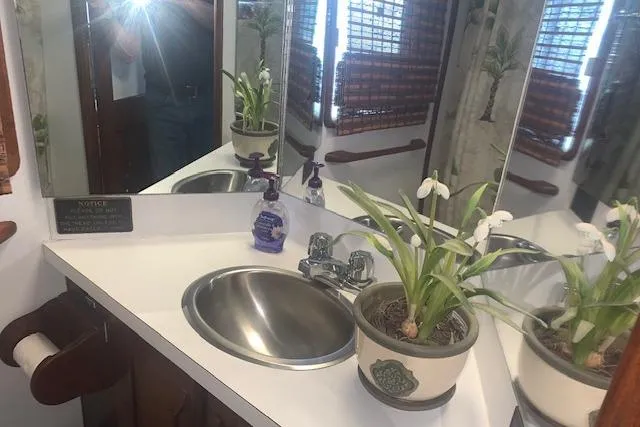 Slide: The Image of 1986 Pilgrim 40 bathroom with sink, mirror, potted plant, and soap dispenser. - 27