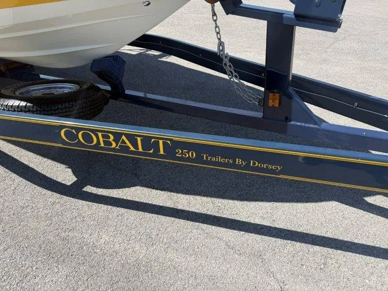 Slide: The Image of Cobalt 246 2006 - 96