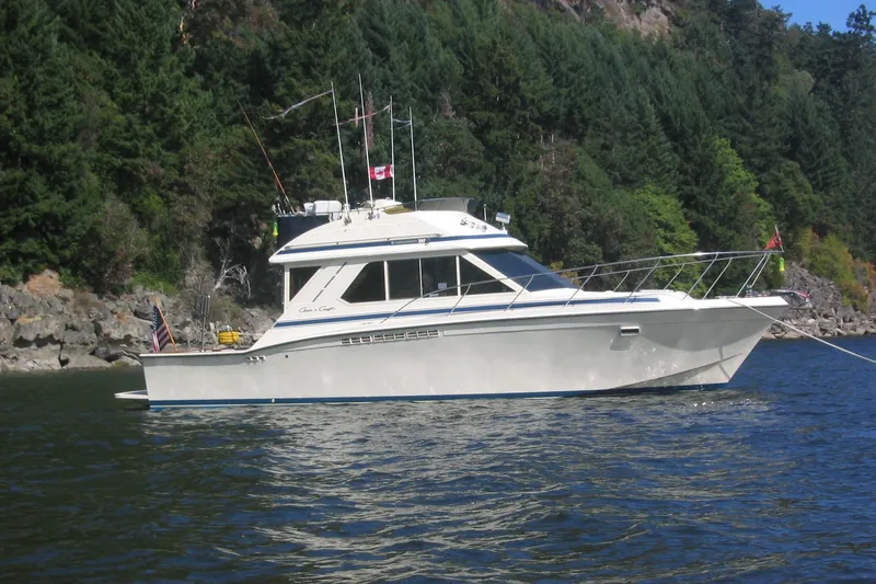 The Image of 1987 Chris-Craft 44 Commander yacht anchored near forested shoreline. - 1