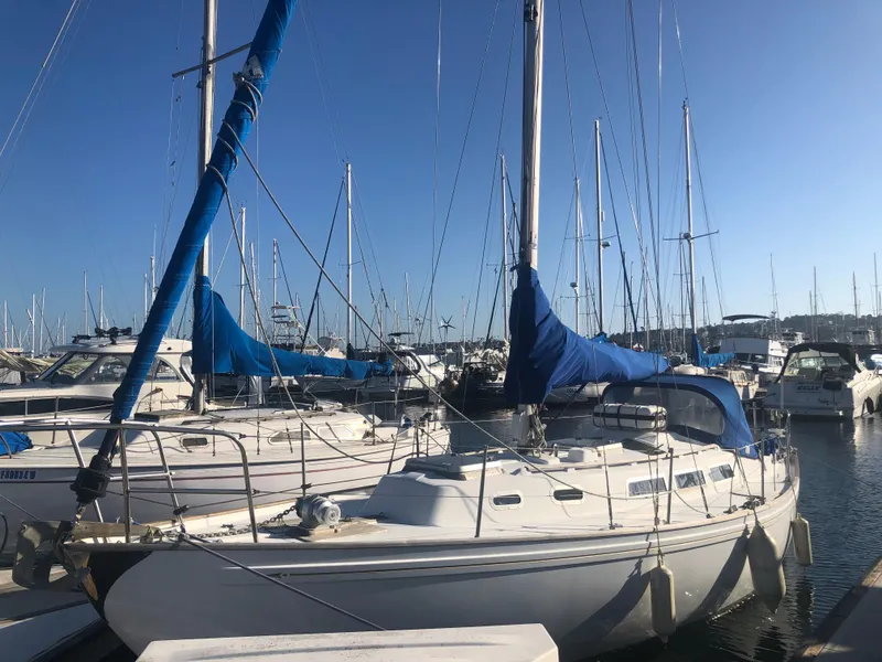 The Image of 1980 Rival 32 sailboat docked in marina under sunny skies. - 1
