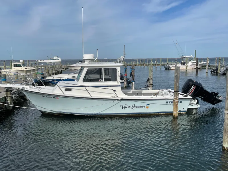 The Image of 2019 Steiger Craft 23 Chesapeke boat docked in harbor. - 1