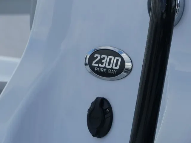 Slide: The Image of Close-up of Blue Wave 2300 Pure Bay emblem, 2021 model. - 8